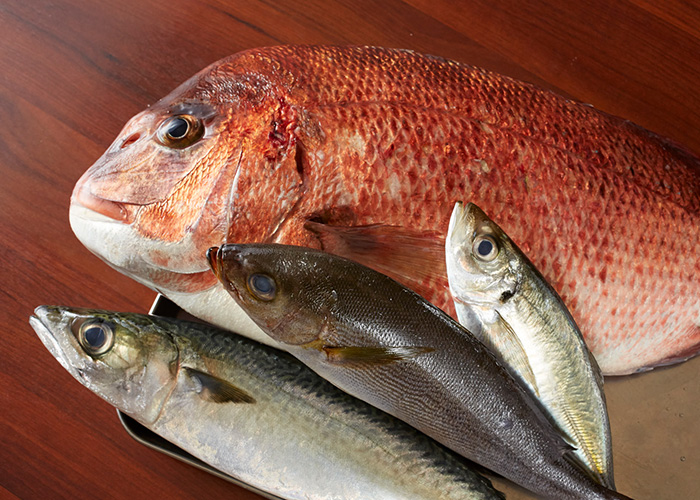 魚